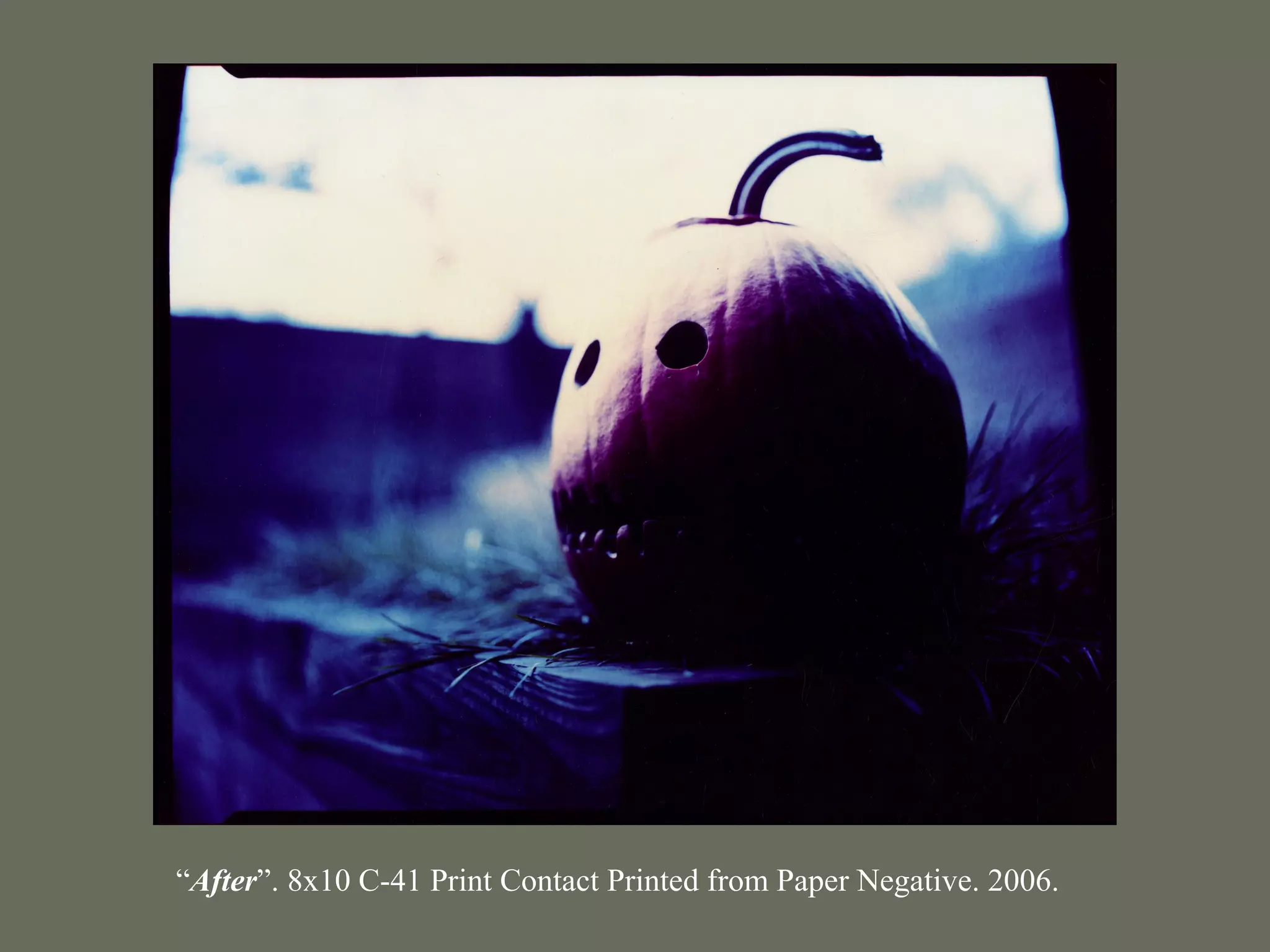 “After”. 8x10 C-41 Print Contact Printed from Paper Negative. 2006.
 