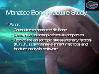 Manatee Ribs Bone Mechanics - Leismer and Walsh 2006 | PPT