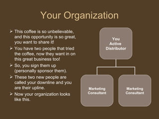 Your Organization This coffee is so unbelievable, and this opportunity is so great, you want to share it!  You have two people that tried the coffee, now they want in on this great business too!  So, you sign them up (personally sponsor them).  These two new people are called your downline and you are their upline.  Now your organization looks like this. You Active  Distributor Marketing Consultant Marketing Consultant 