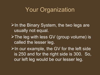 Your Organization In the Binary System, the two legs are usually not equal.  The leg with less GV (group volume) is called the lesser leg.  In our example, the GV for the left side is 250 and for the right side is 300.  So, our left leg would be our lesser leg.  