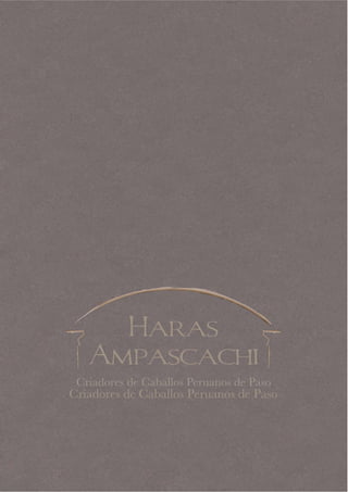 Brochure Ampascachi