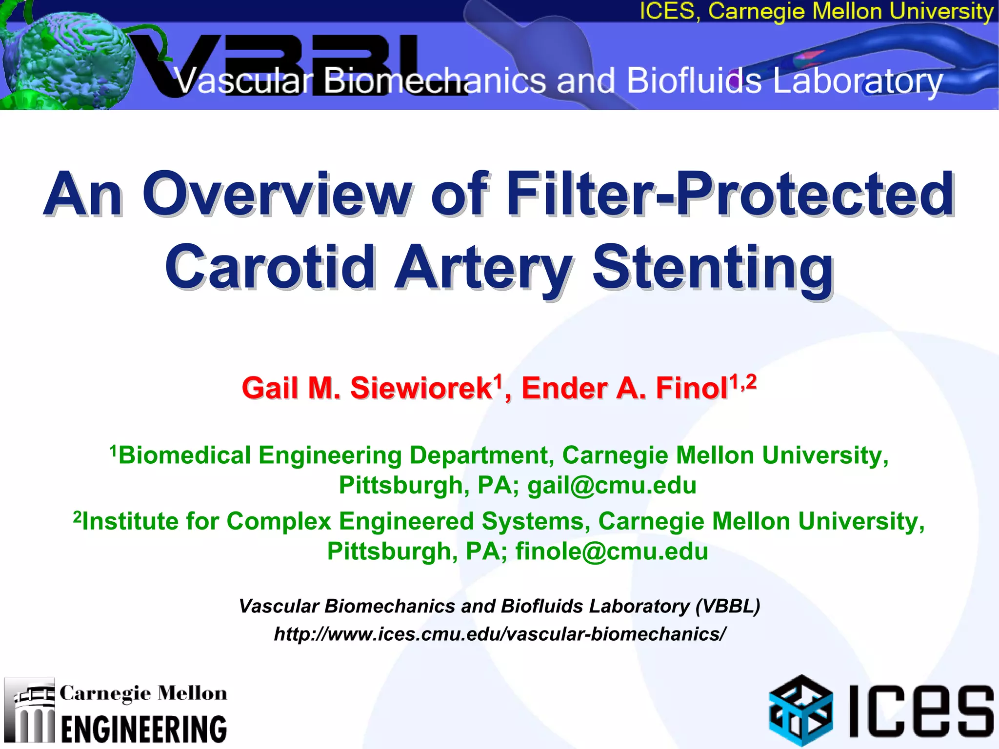 An Overview of Filter-Protected Carotid Artery Stenting
