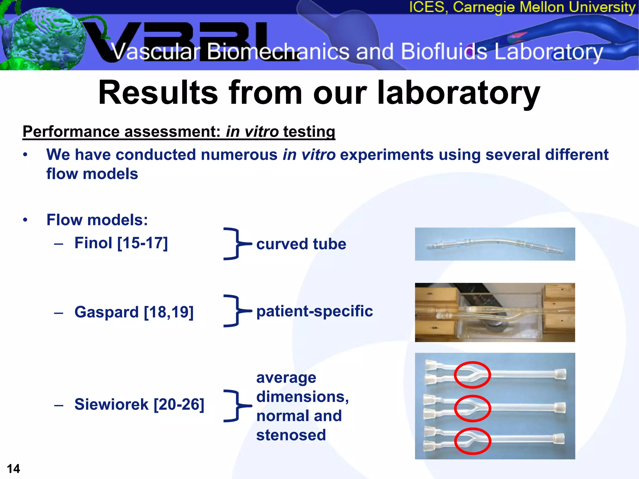 An Overview of Filter-Protected Carotid Artery Stenting