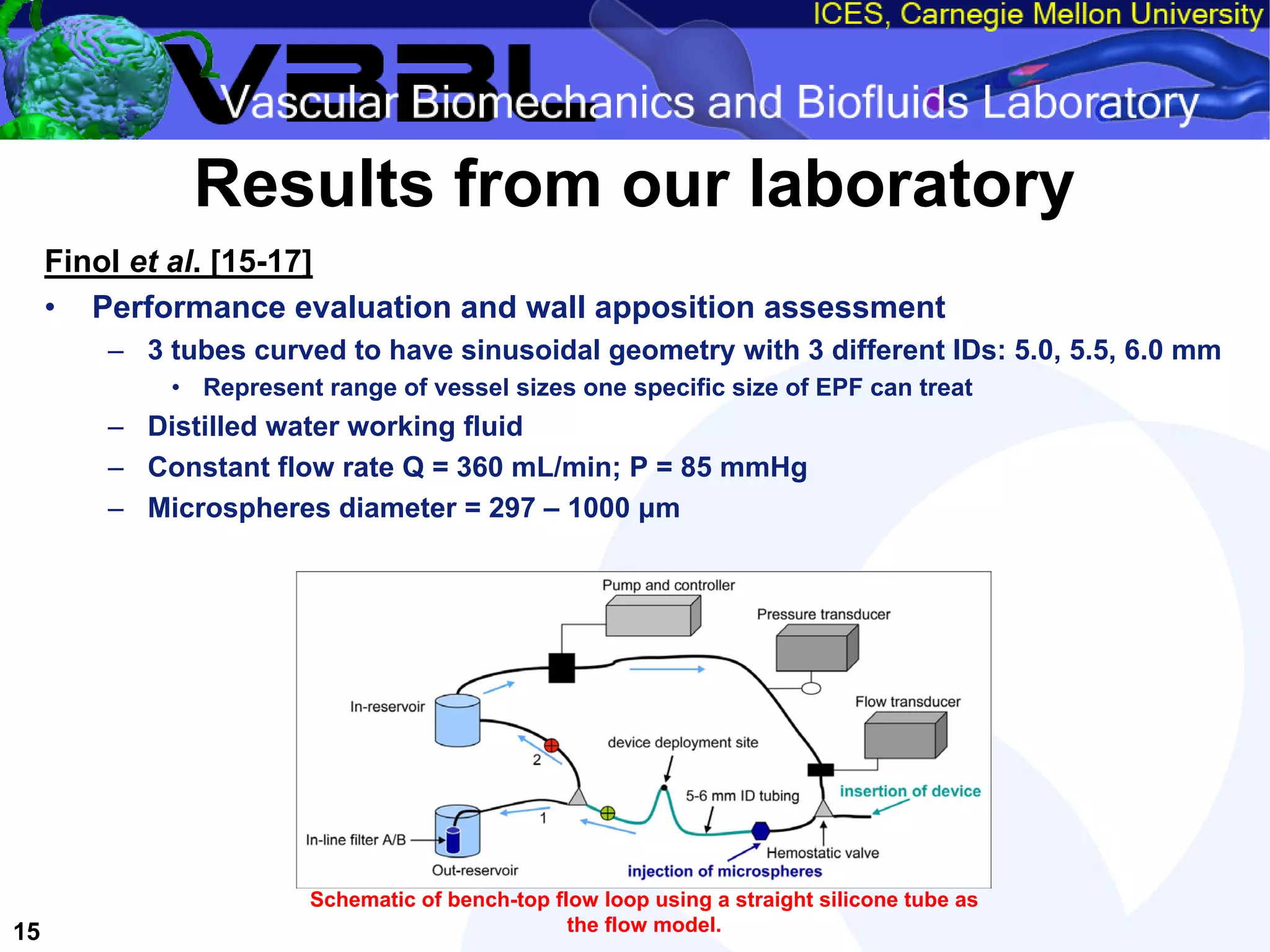 An Overview of Filter-Protected Carotid Artery Stenting