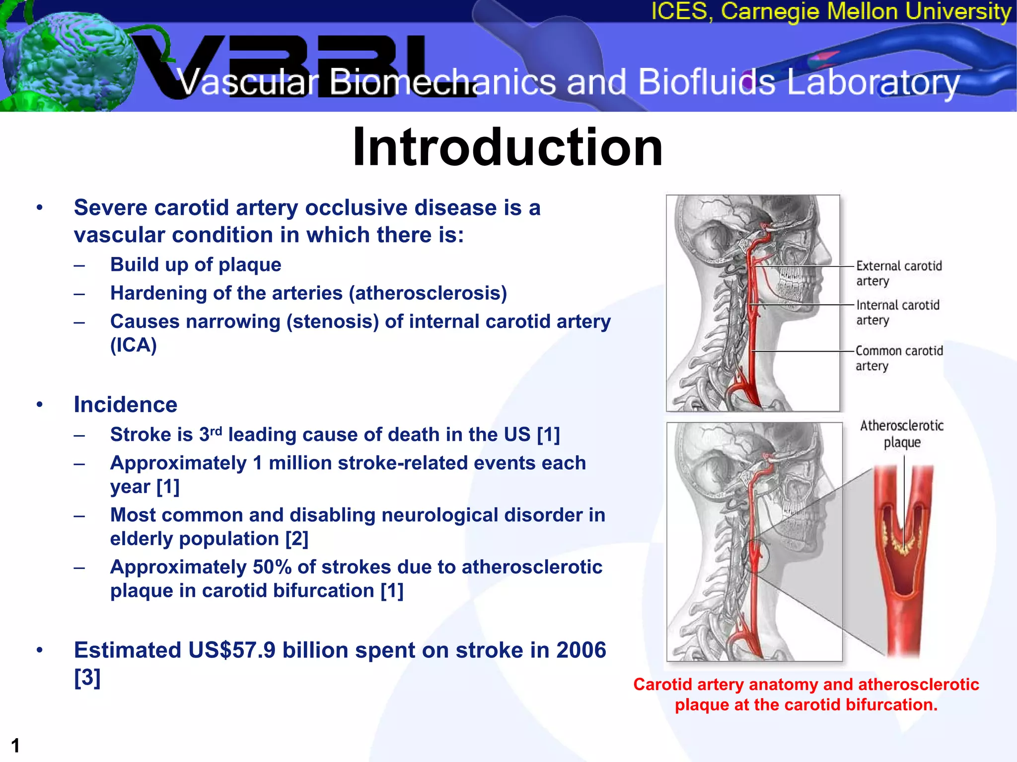 An Overview of Filter-Protected Carotid Artery Stenting