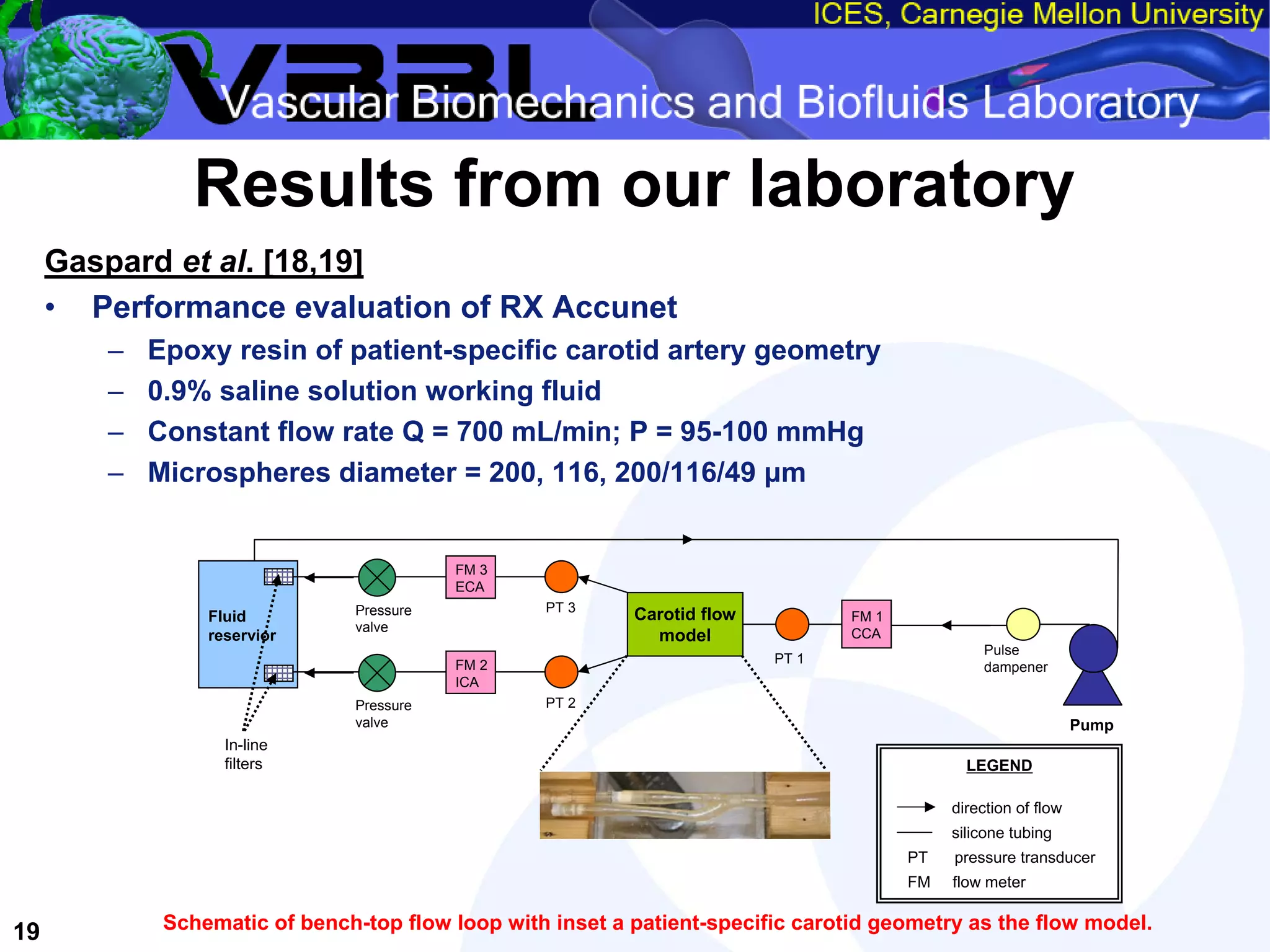 An Overview of Filter-Protected Carotid Artery Stenting
