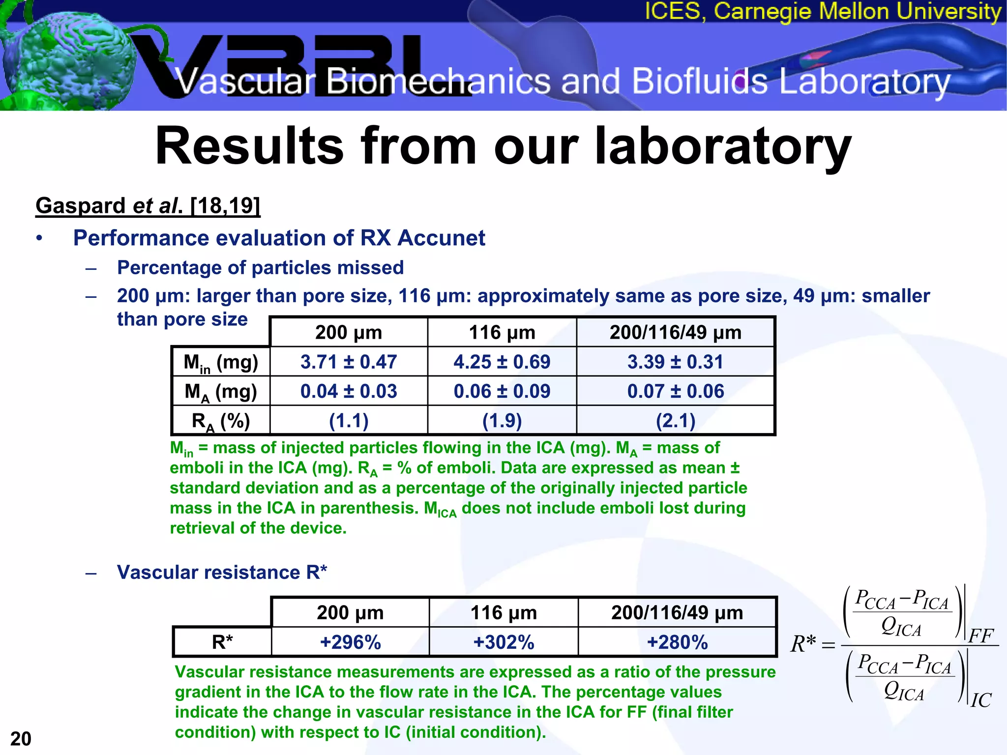 An Overview of Filter-Protected Carotid Artery Stenting