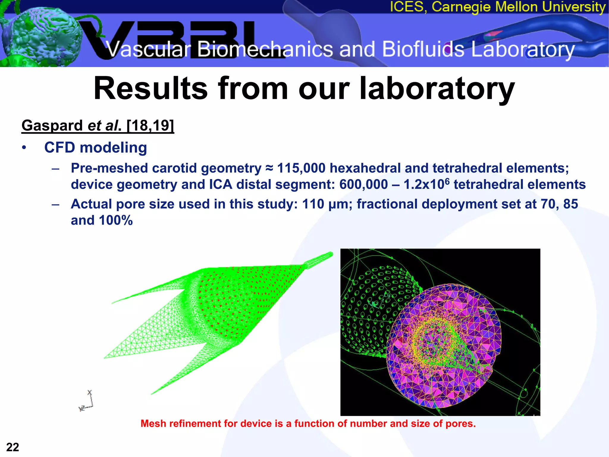 An Overview of Filter-Protected Carotid Artery Stenting