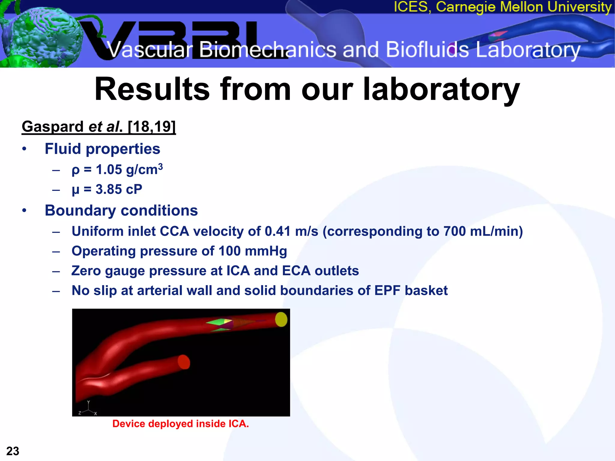 An Overview of Filter-Protected Carotid Artery Stenting