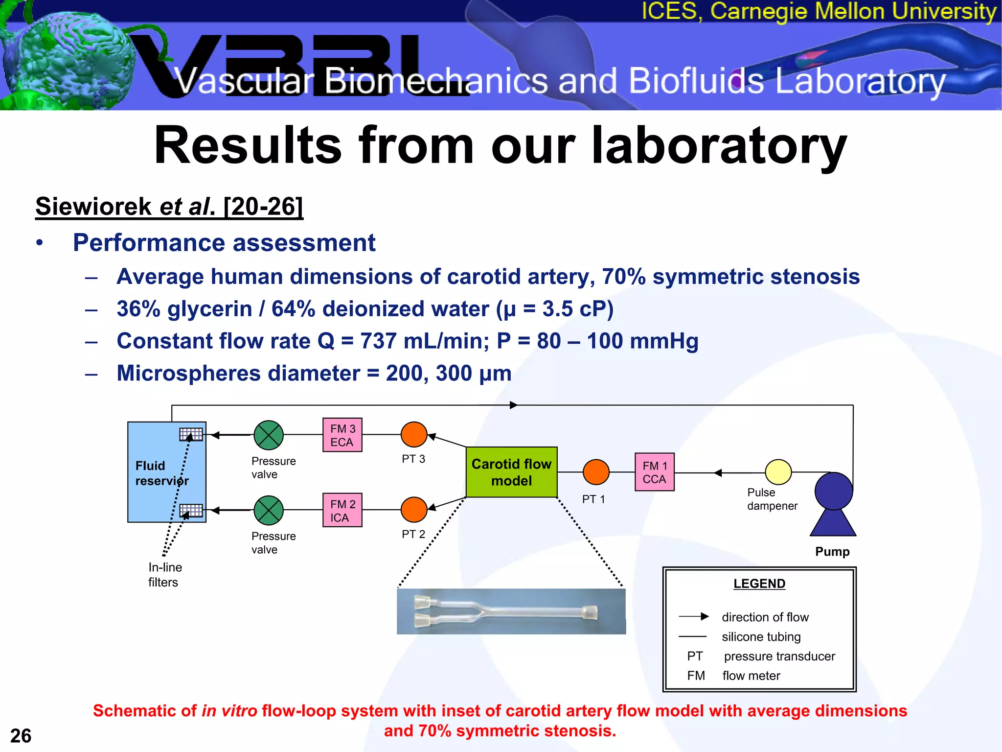 An Overview of Filter-Protected Carotid Artery Stenting