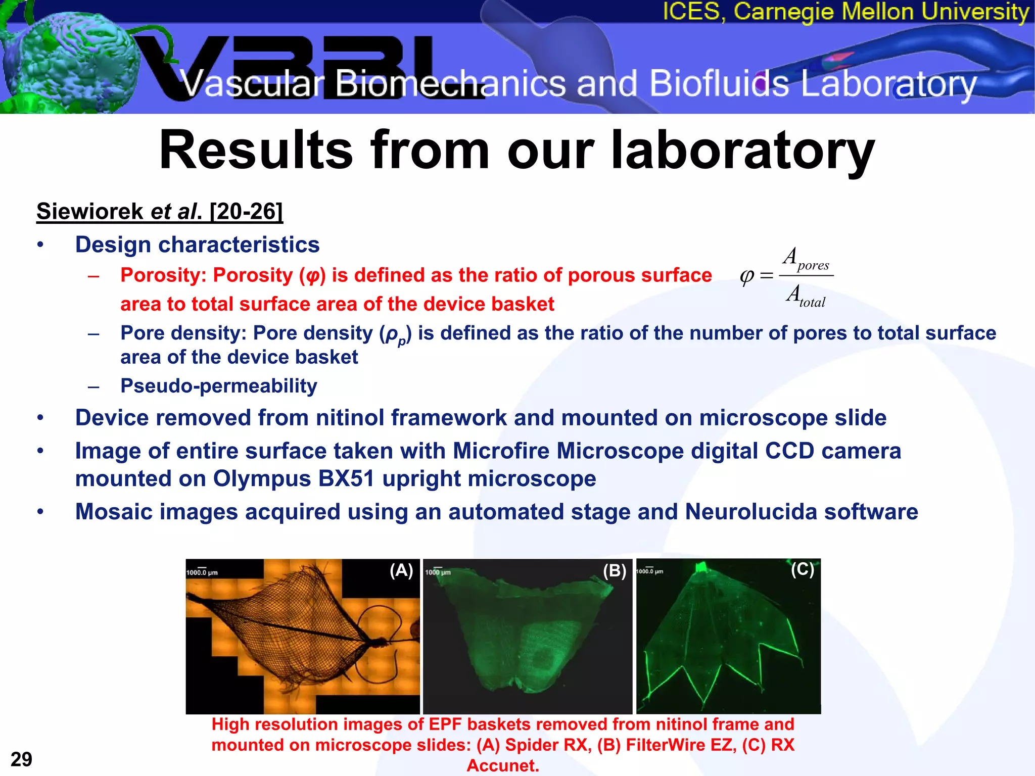 An Overview of Filter-Protected Carotid Artery Stenting