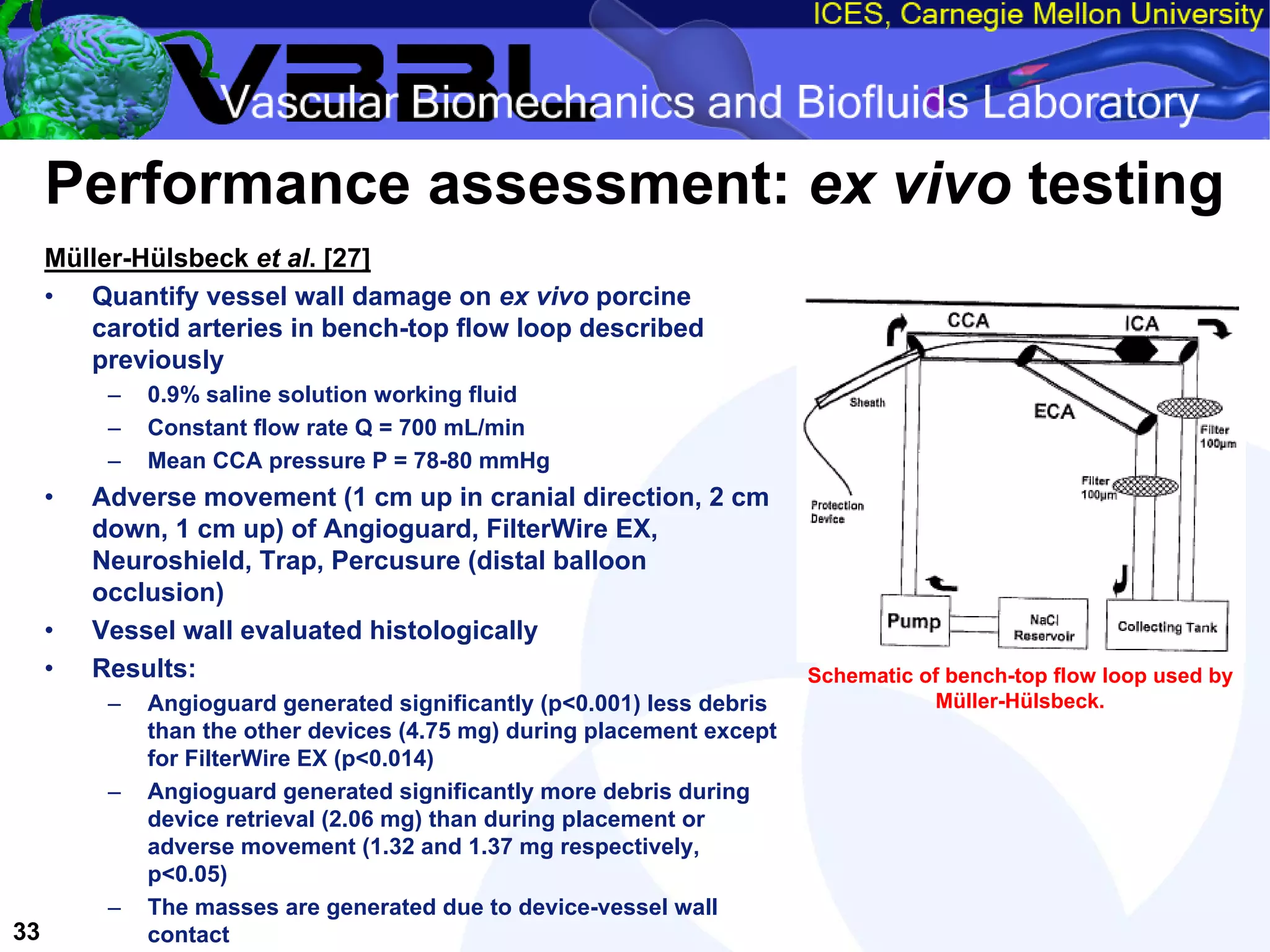 An Overview of Filter-Protected Carotid Artery Stenting