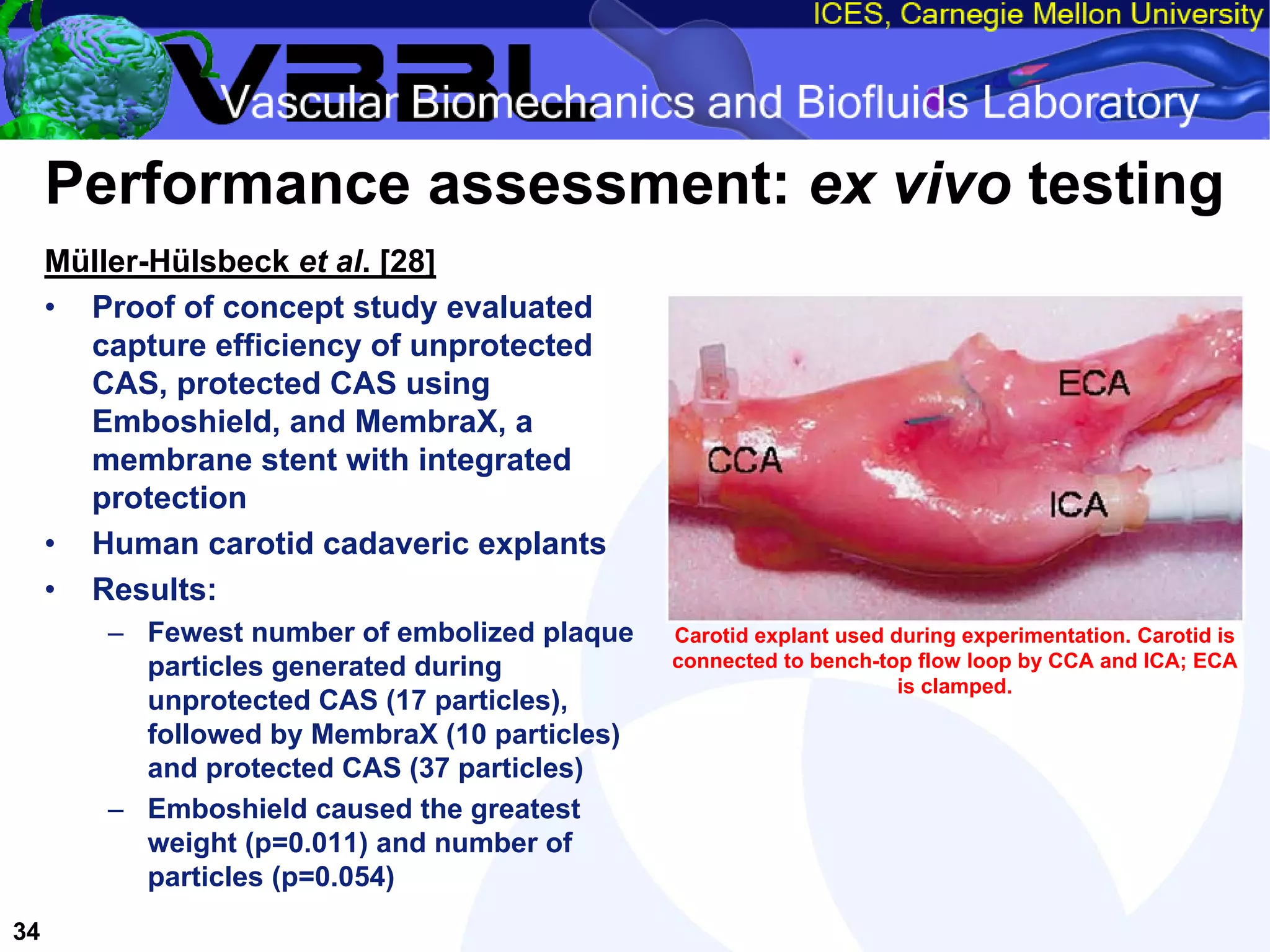 An Overview of Filter-Protected Carotid Artery Stenting