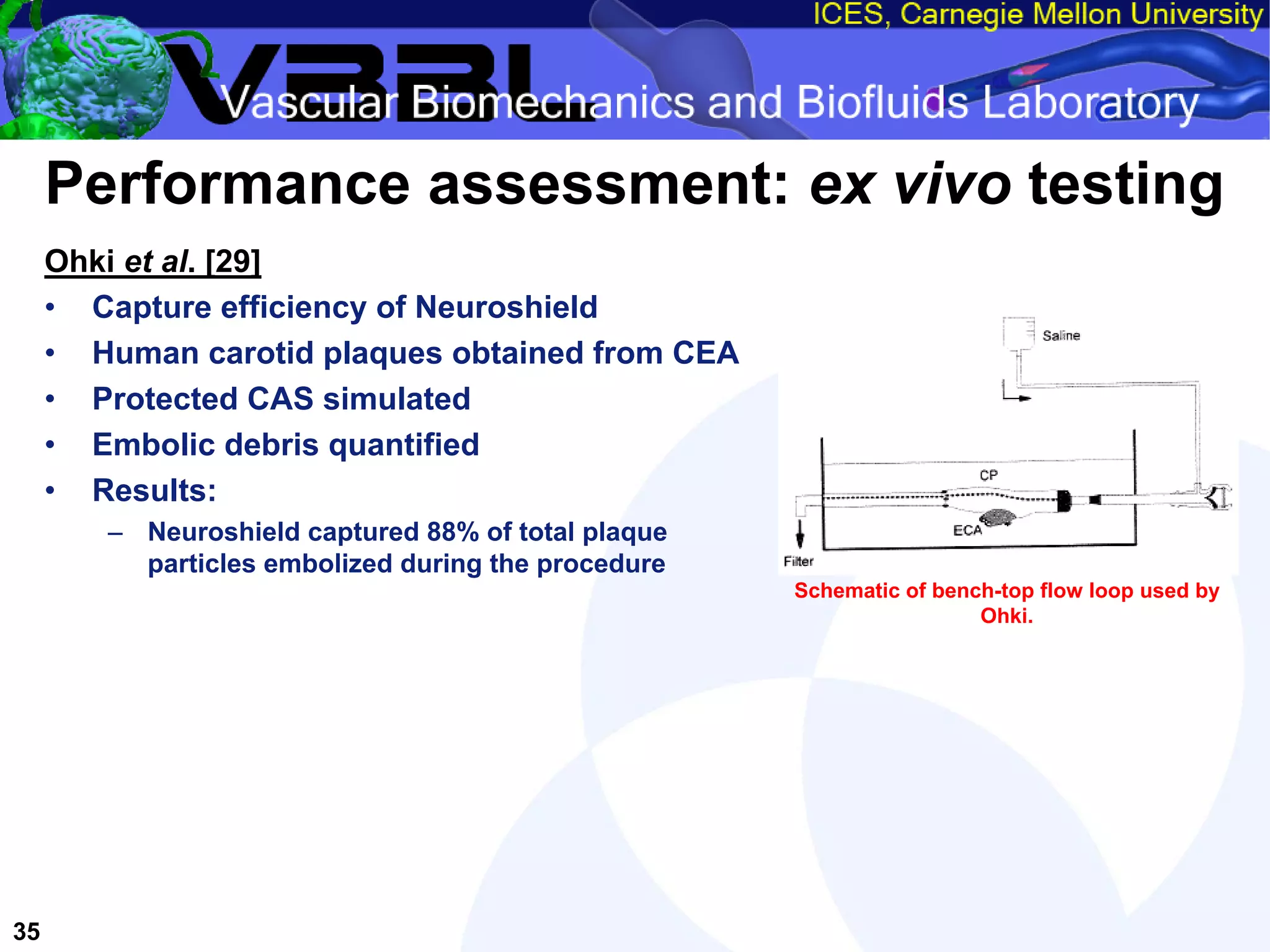 An Overview of Filter-Protected Carotid Artery Stenting