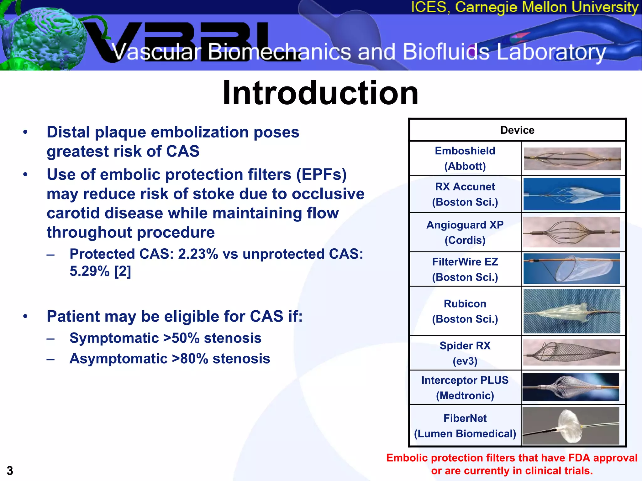 An Overview of Filter-Protected Carotid Artery Stenting