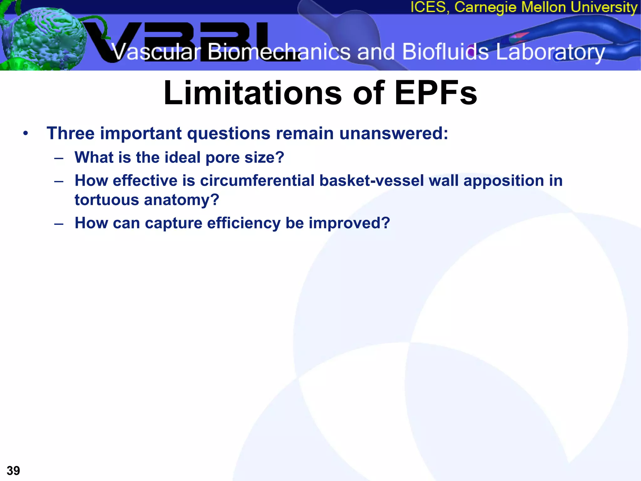 An Overview of Filter-Protected Carotid Artery Stenting