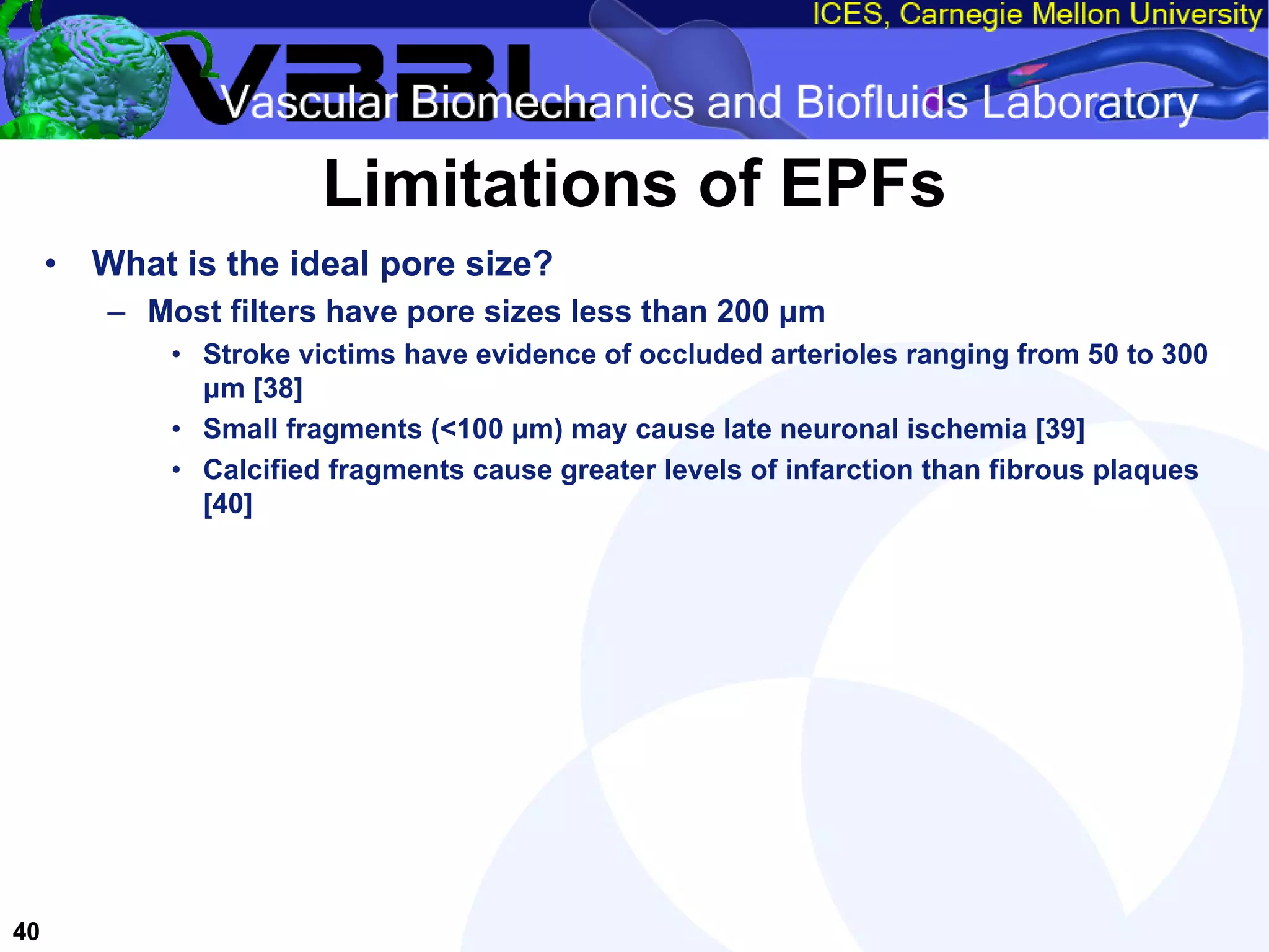 An Overview of Filter-Protected Carotid Artery Stenting