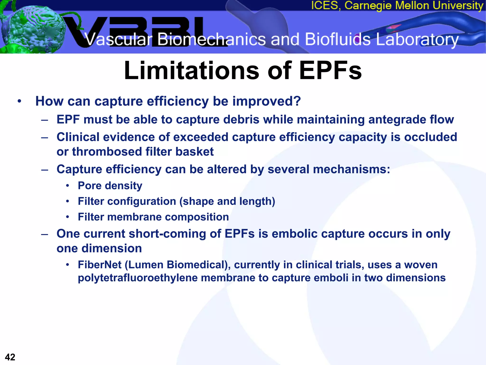 An Overview of Filter-Protected Carotid Artery Stenting