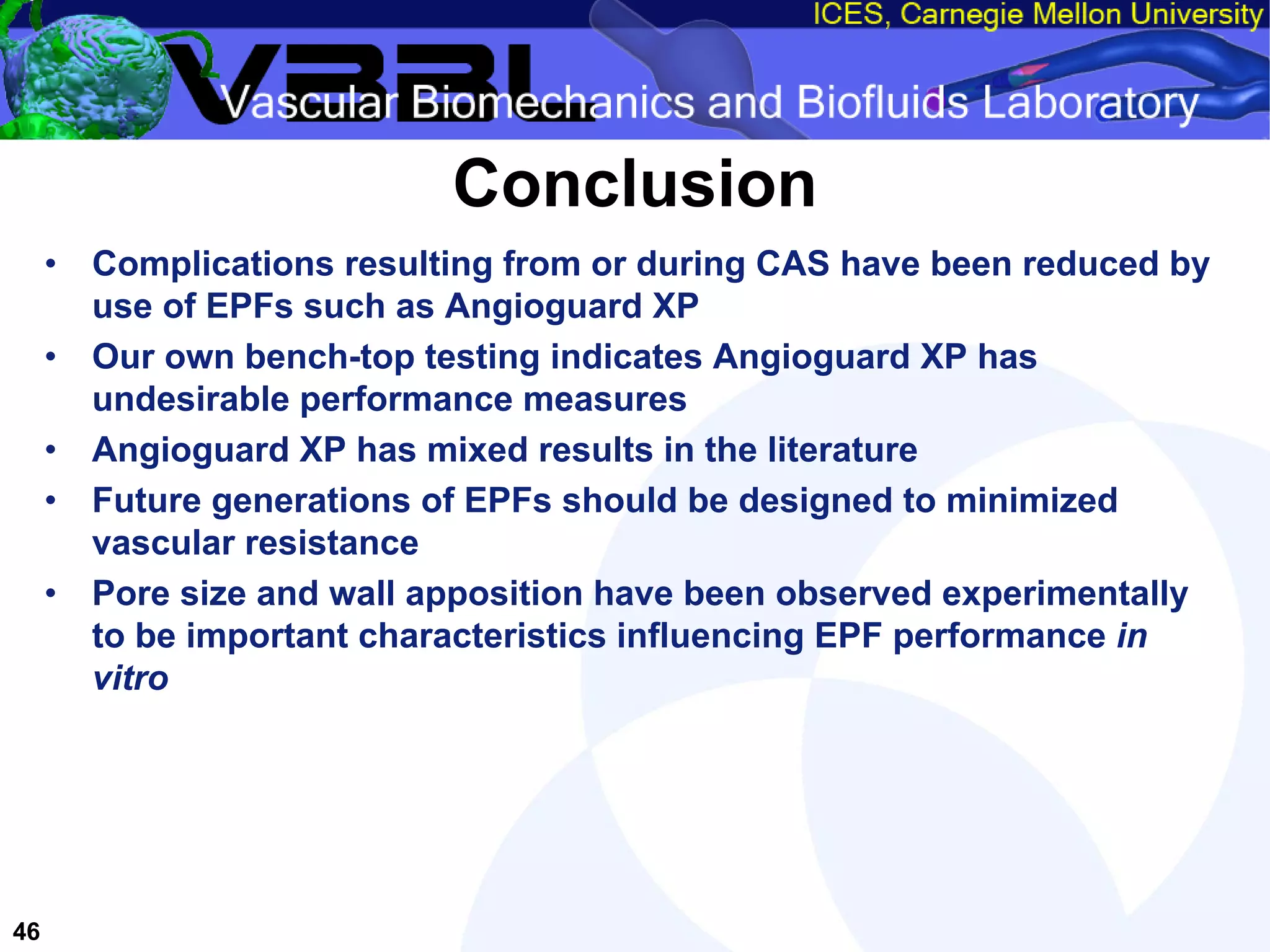 An Overview of Filter-Protected Carotid Artery Stenting