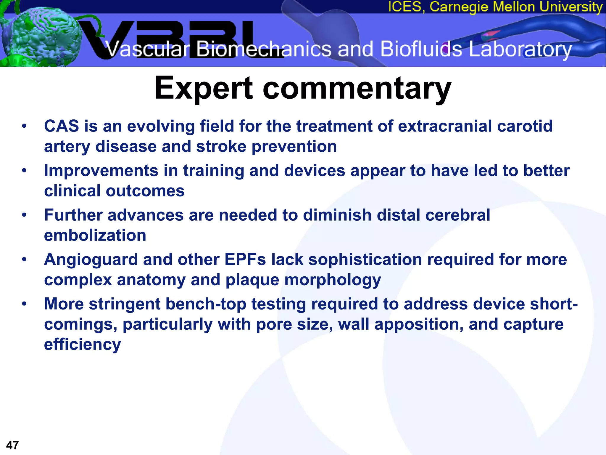 An Overview of Filter-Protected Carotid Artery Stenting