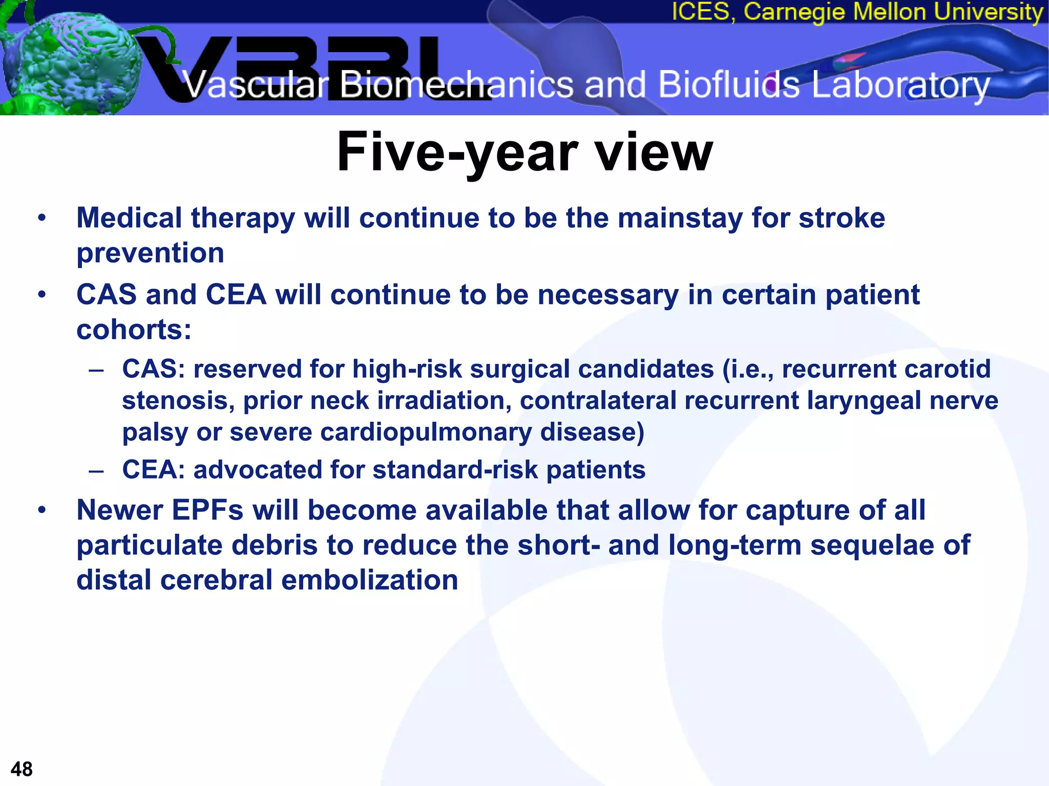An Overview of Filter-Protected Carotid Artery Stenting