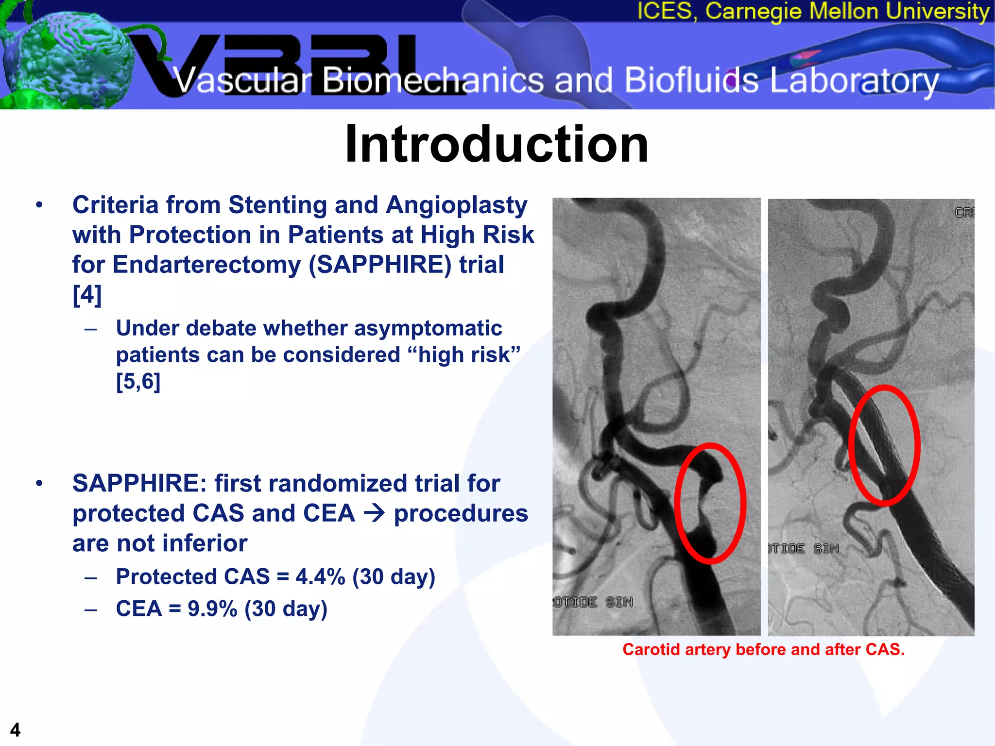An Overview of Filter-Protected Carotid Artery Stenting