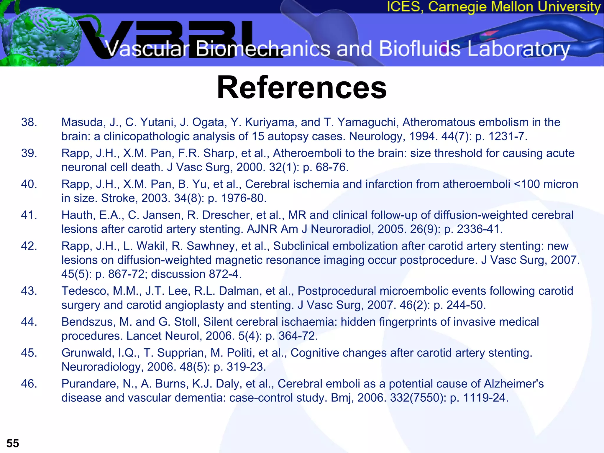 An Overview of Filter-Protected Carotid Artery Stenting
