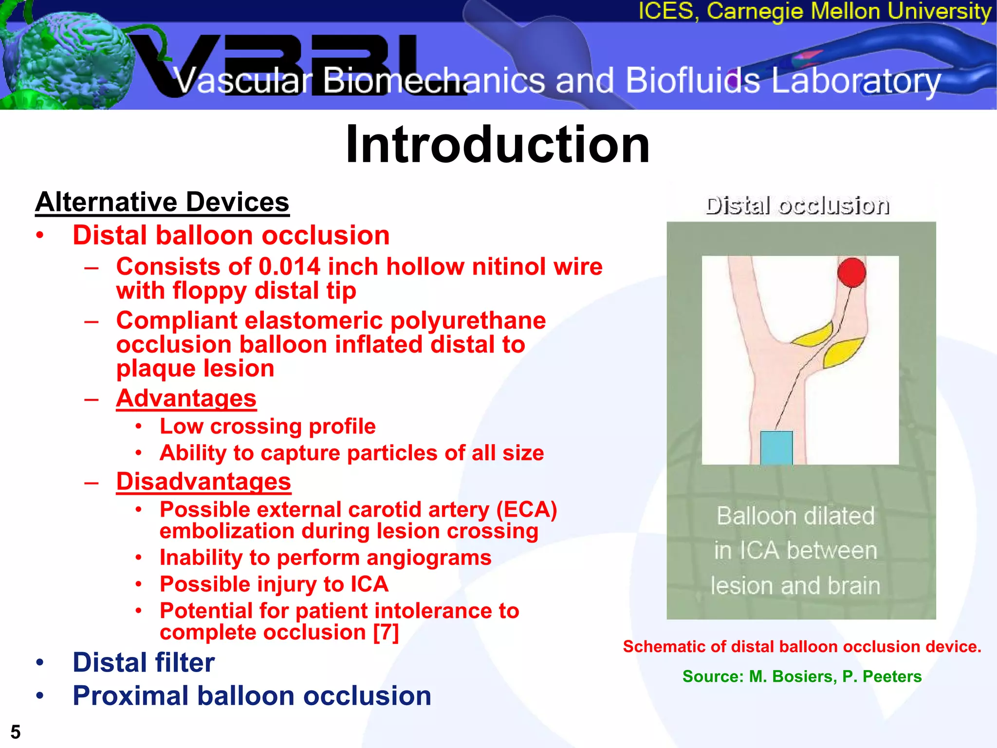 An Overview of Filter-Protected Carotid Artery Stenting