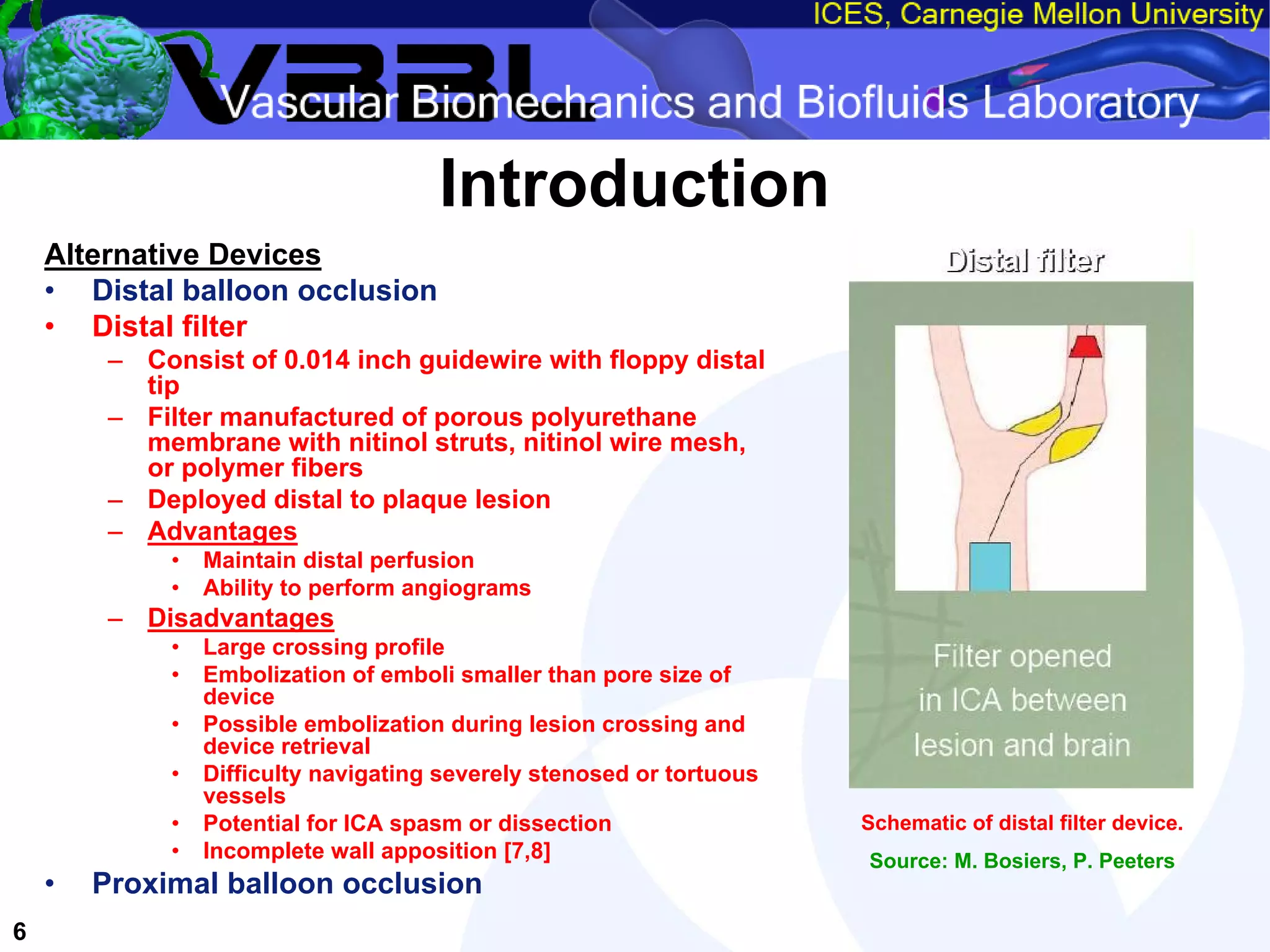 An Overview of Filter-Protected Carotid Artery Stenting