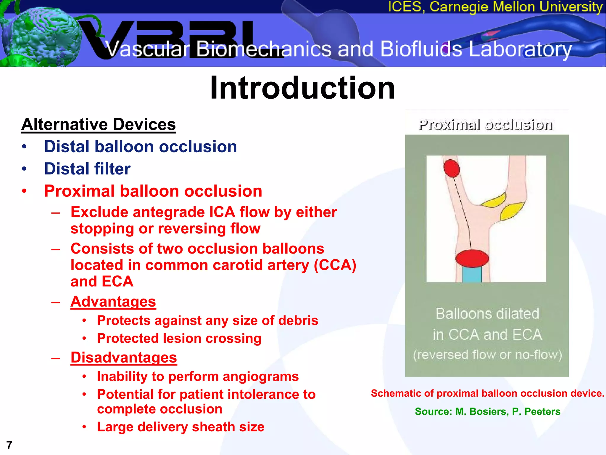 An Overview of Filter-Protected Carotid Artery Stenting