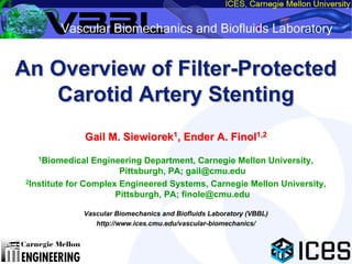 An Overview of Filter-Protected
               Filter-Protected
   Carotid Artery Stenting
              Gail M. Siewiorek1, Ender A. Finol1,2
   1Biomedical    Engineering Department, Carnegie Mellon University,
                        Pittsburgh, PA; gail@cmu.edu
 2Institute for Complex Engineered Systems, Carnegie Mellon University,

                       Pittsburgh, PA; finole@cmu.edu

              Vascular Biomechanics and Biofluids Laboratory (VBBL)
                 http://www.ices.cmu.edu/vascular-biomechanics/
 