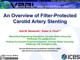 An Overview of Filter-Protected Carotid Artery Stenting | PDF
