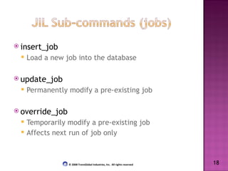 insert_job Load a new job into the database update_job Permanently modify a pre-existing job override_job Temporarily modify a pre-existing job  Affects next run of job only 18 © 2008 TransGlobal Industries, Inc.  All rights reserved 