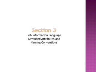 Job Information Language Advanced Attributes and Naming Conventions 
