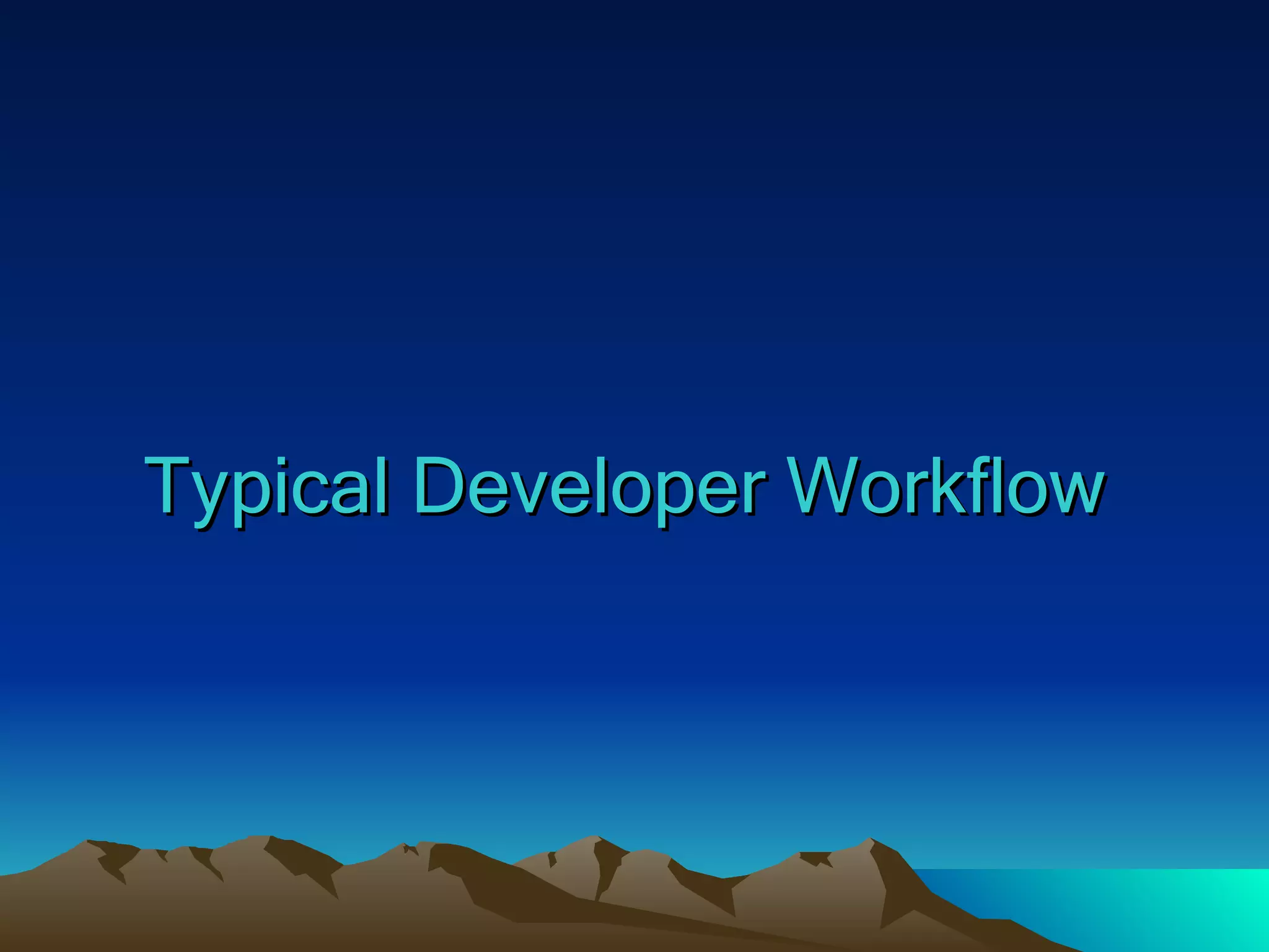 Typical Developer Workflow 