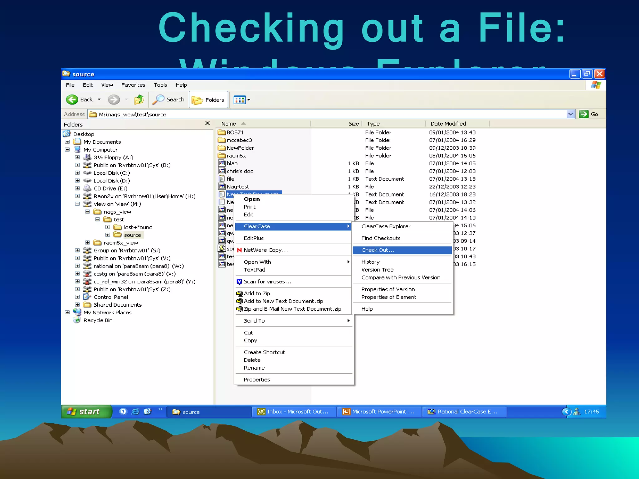 Checking out a File: Windows Explorer 