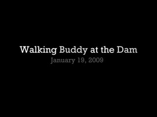 Walking  Buddy  at the  Dam January 19, 2009 