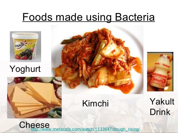 Fungi and Bacteria