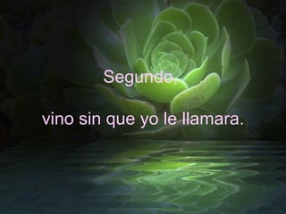 Segundo,  vino sin que yo le llamara. 