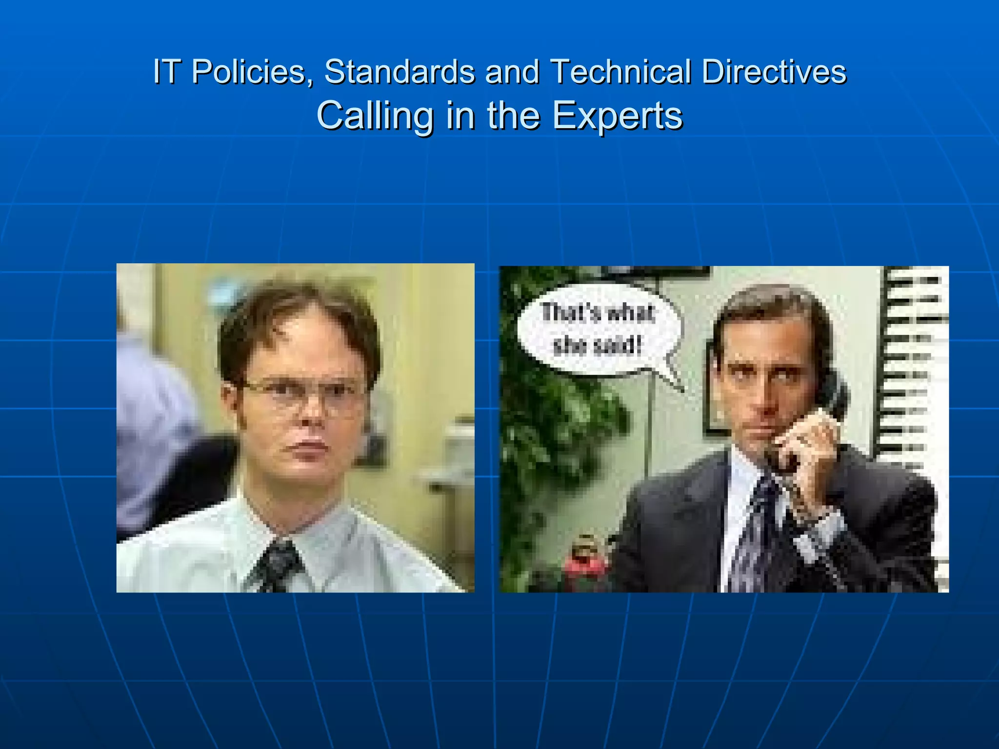 IT Policies, Standards and Technical Directives Calling in the Experts 