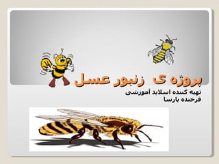 پروژه ی  زنبور عسل  تهیه کننده اسلاید آموزشی  فرخنده پارسا  