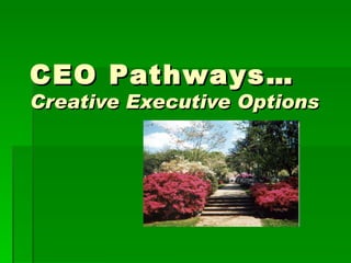 CEO Pathways… Creative Executive Options 