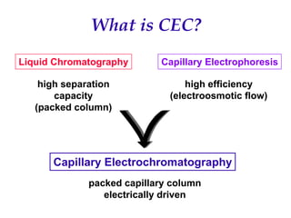 Recent Advances in Micro LC and CEC