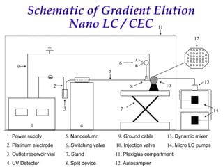 Recent Advances in Micro LC and CEC