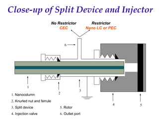 Recent Advances in Micro LC and CEC