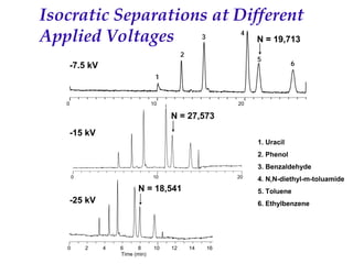 Recent Advances in Micro LC and CEC