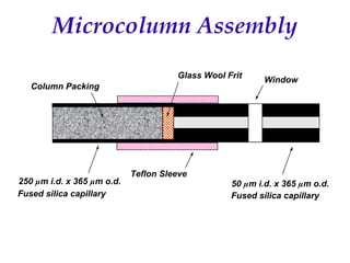 Recent Advances in Micro LC and CEC