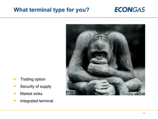 What terminal type for you? Trading option Security of supply Market sinks Integrated terminal 
