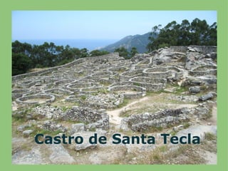 Castro de Santa Tecla 