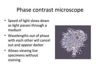 Phase contrast microscope Speed of light slows down as light passes through a medium Wavelengths out of phase with each other will cancel out and appear darker Allows viewing live specimens without staining 